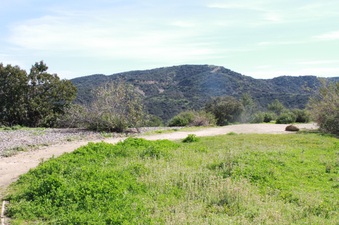 Enlarge photo 7