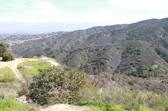 Enlarge photo 11