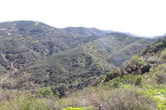 Enlarge photo 12