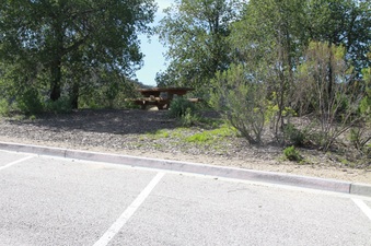 Enlarge photo 19