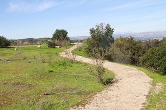 Enlarge photo 24