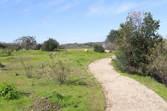 Enlarge photo 25