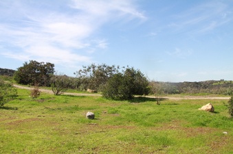 Enlarge photo 27