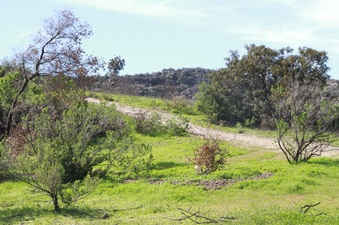 Enlarge photo 28