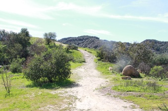 Enlarge photo 30