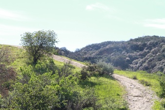 Enlarge photo 31