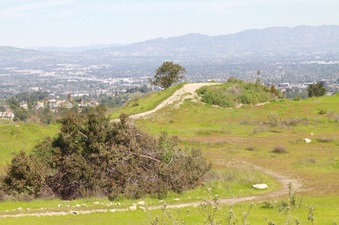 Enlarge photo 34