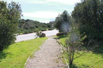 Enlarge photo 35