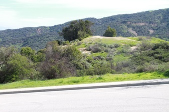 Enlarge photo 36