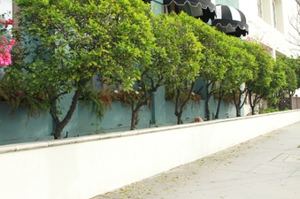 Enlarge photo 28