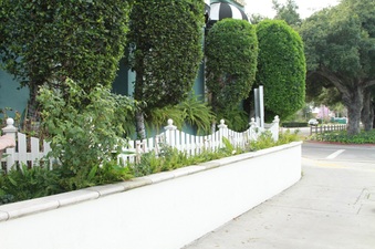 Enlarge photo 30