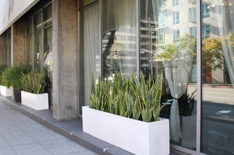 Enlarge photo 38