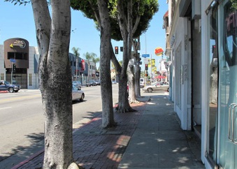 Enlarge photo 5