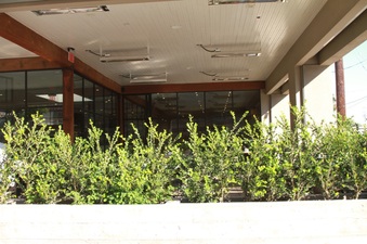 Enlarge photo 46