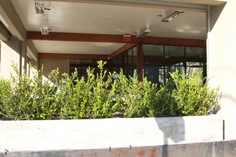 Enlarge photo 49