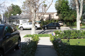 Enlarge photo 3