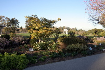 Southwest Botanical Garden