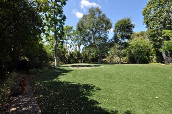 Enlarge photo 83