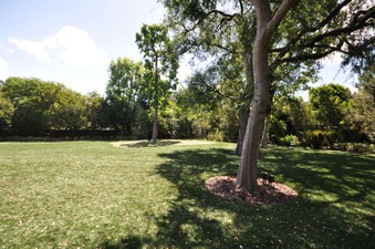 Enlarge photo 91