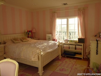 Enlarge photo 47