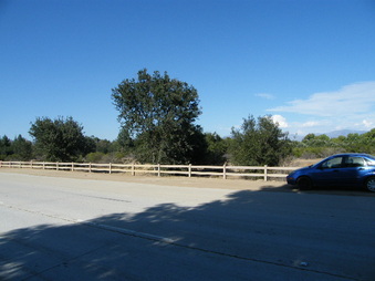 WOODLEY AVE - RURAL BUS STOP