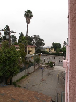 Enlarge photo 93