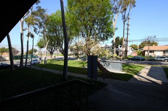 Enlarge photo 55