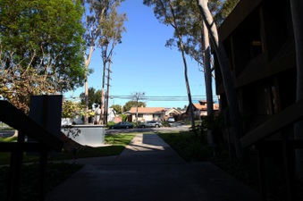 Enlarge photo 56