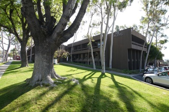 Enlarge photo 61