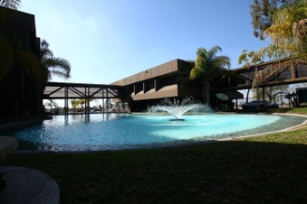 Enlarge photo 72