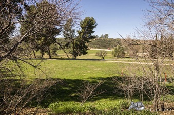 Enlarge photo 78