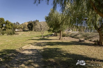 Enlarge photo 115