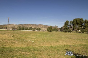 Enlarge photo 117