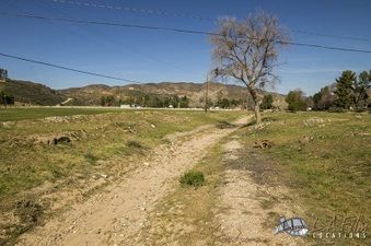 Enlarge photo 118