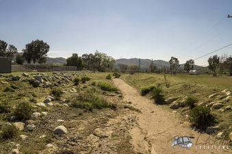 Enlarge photo 119