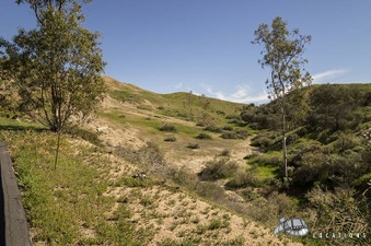 Enlarge photo 130