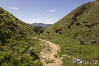 Enlarge photo 139