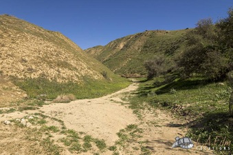 Enlarge photo 141