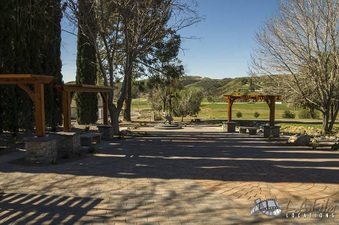 Enlarge photo 196