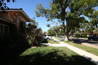 Enlarge photo 81