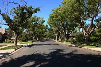 Enlarge photo 84