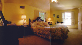 Enlarge photo 21