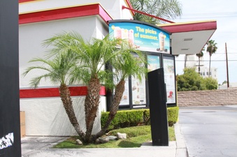 McDonald's-Altadena Dr