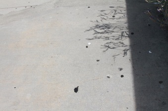 Enlarge photo 30