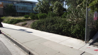 Enlarge photo 2