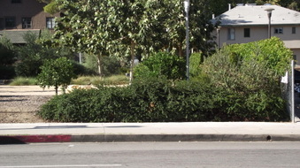 Enlarge photo 7