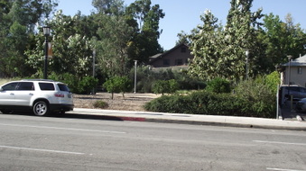 Enlarge photo 13