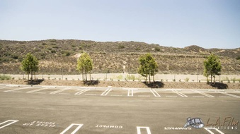 Enlarge photo 115