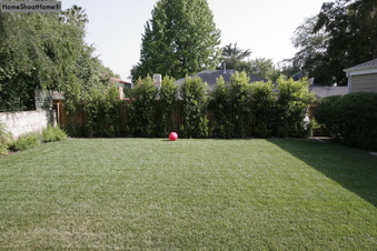 Enlarge photo 29