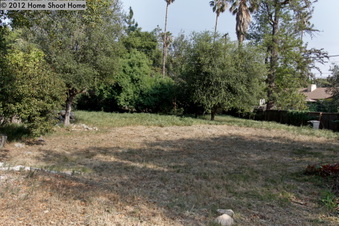 Enlarge photo 57